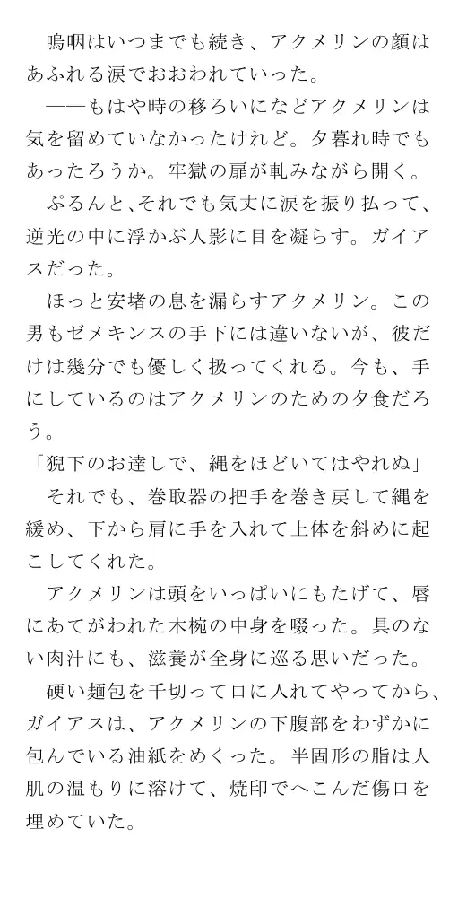 生贄王女と簒奪侍女（後編） 147ページ