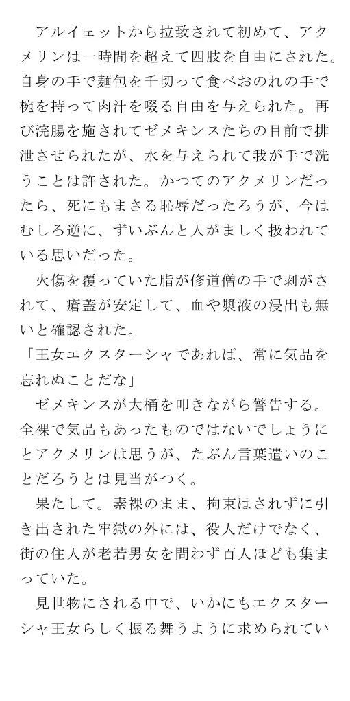 生贄王女と簒奪侍女（後編） 160ページ