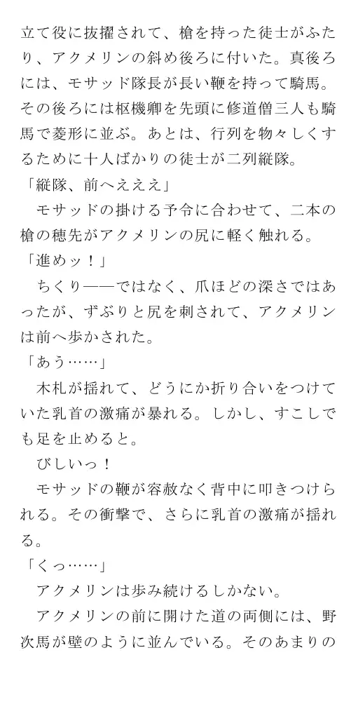 生贄王女と簒奪侍女（後編） 163ページ