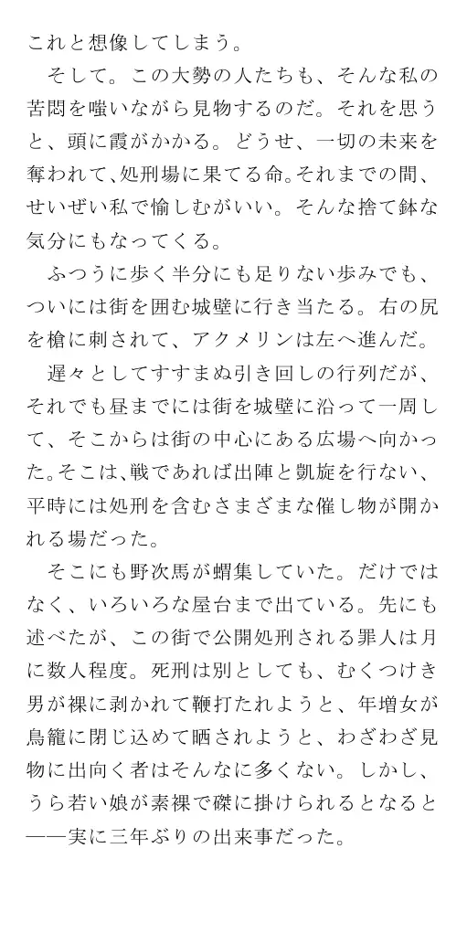 生贄王女と簒奪侍女（後編） 165ページ