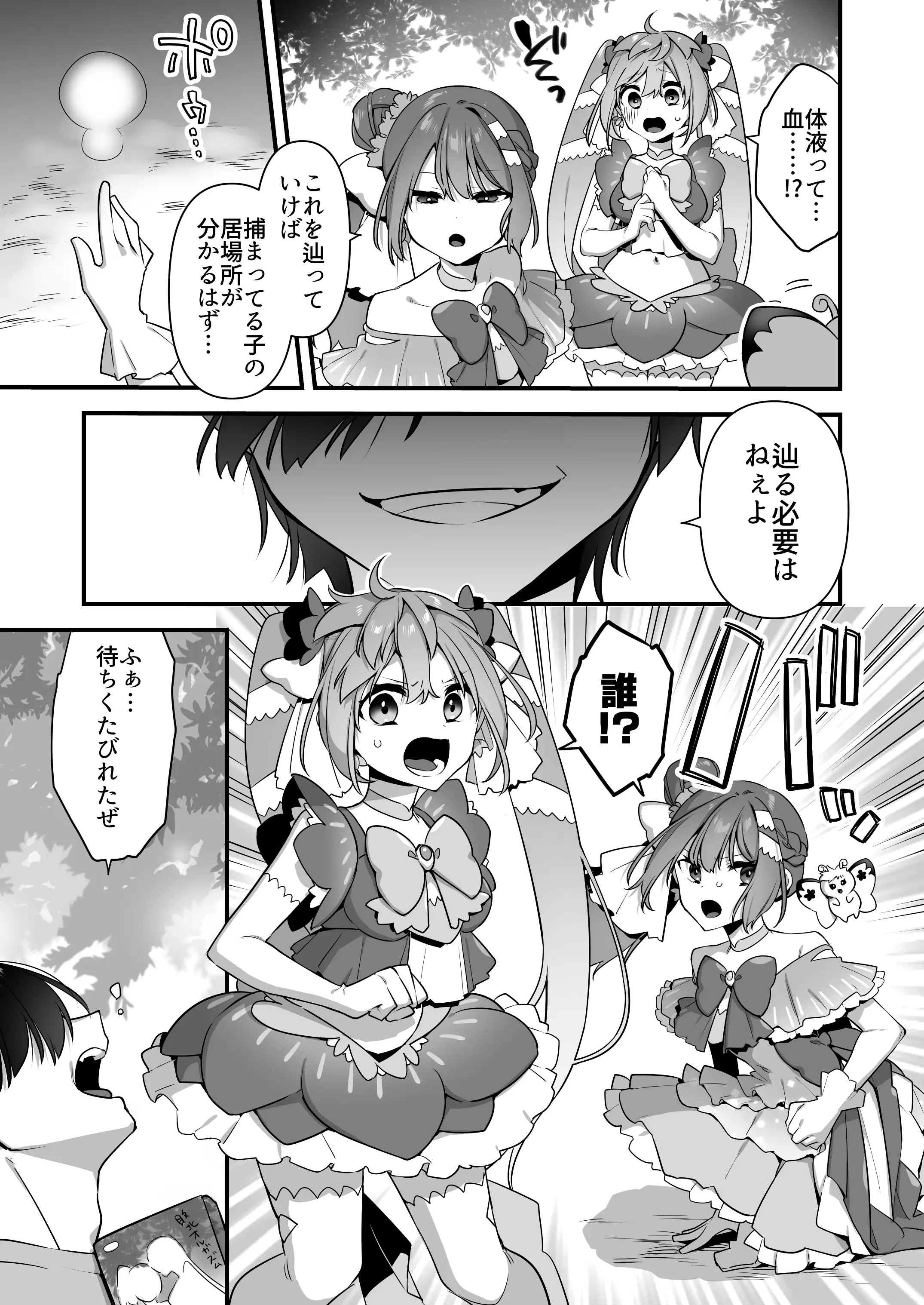 悪の手先になったので。〜魔法少女を凌●します〜2 15ページ