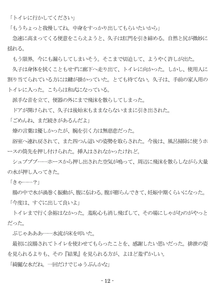 800万円のDVR:1淫虐調教編 13ページ