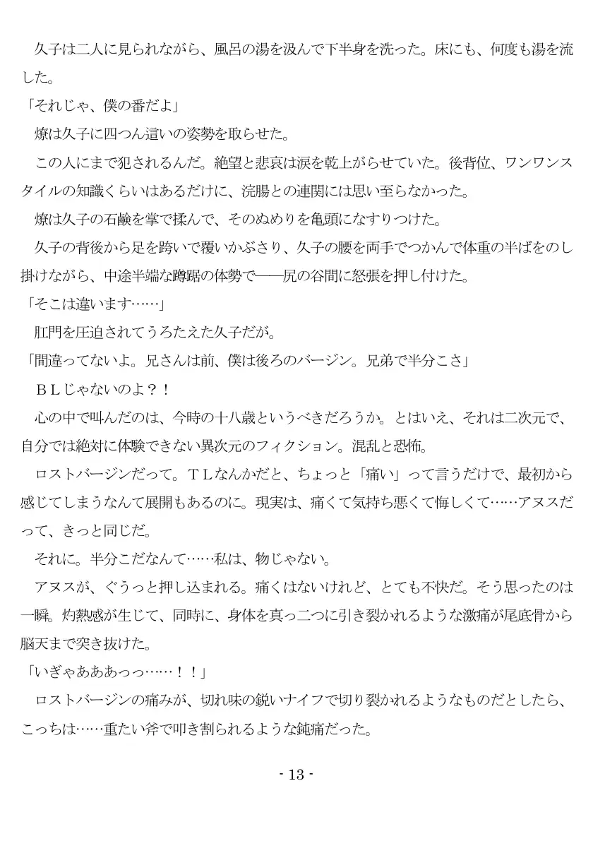 800万円のDVR:1淫虐調教編 14ページ