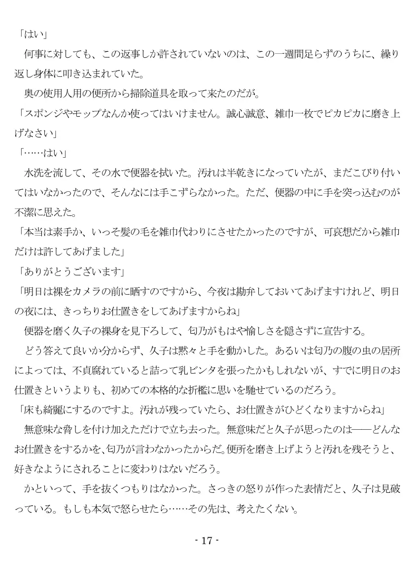 800万円のDVR:1淫虐調教編 18ページ