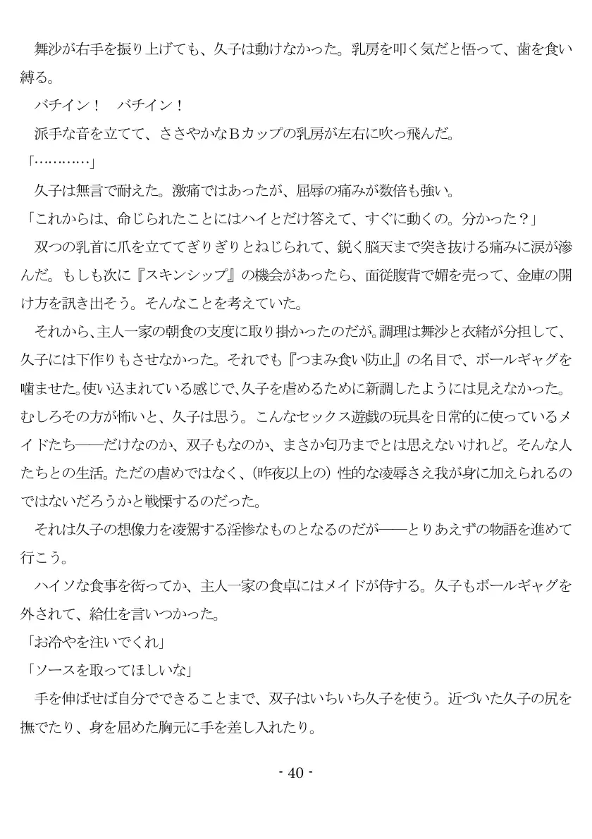 800万円のDVR:1淫虐調教編 41ページ