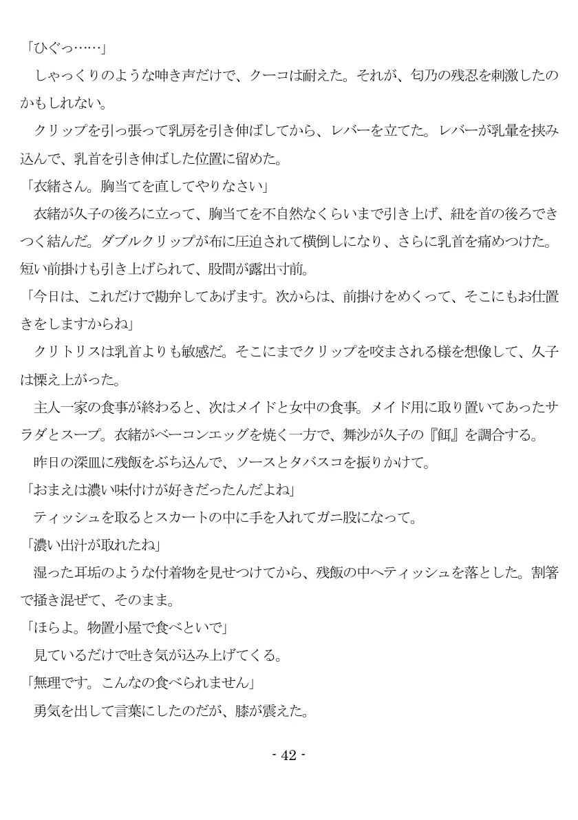 800万円のDVR:1淫虐調教編 43ページ
