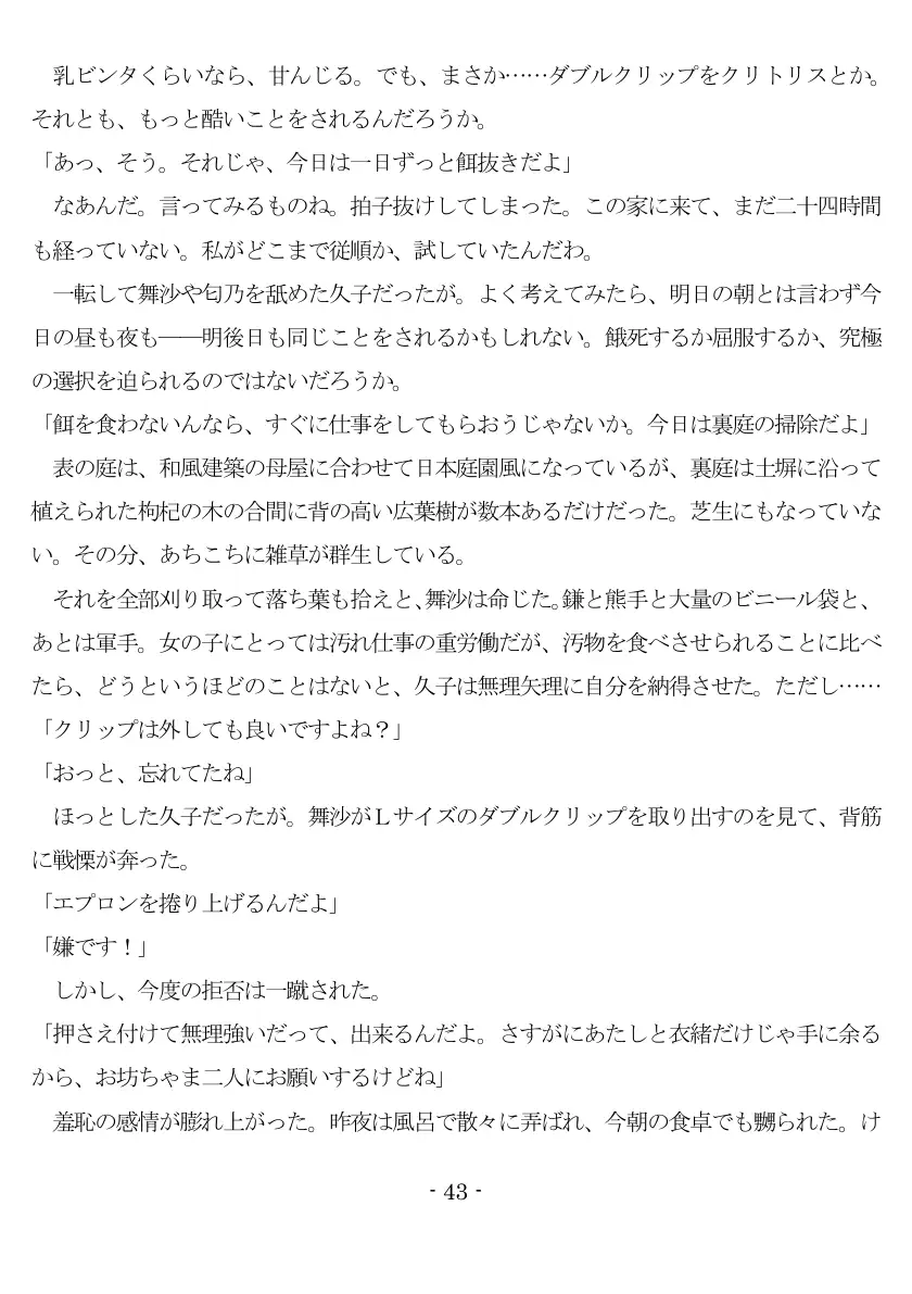 800万円のDVR:1淫虐調教編 44ページ