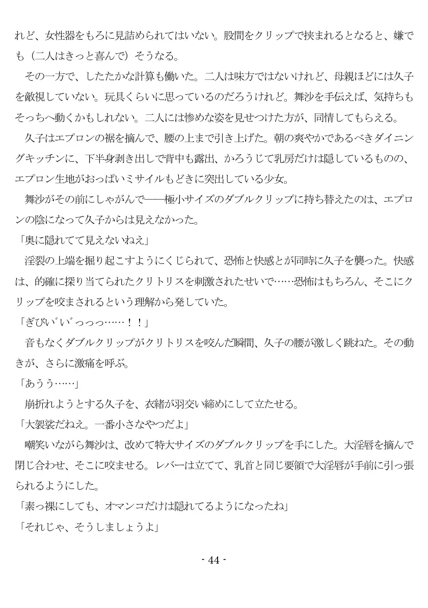 800万円のDVR:1淫虐調教編 45ページ