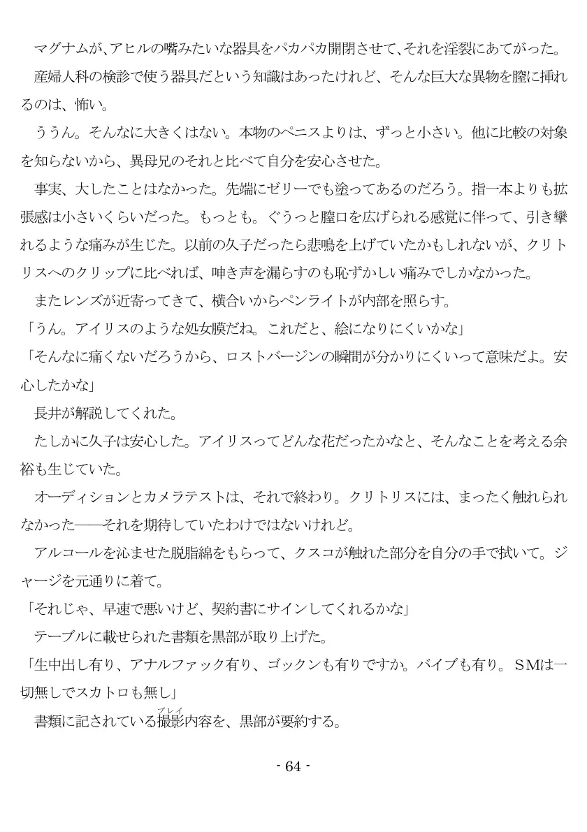 800万円のDVR:1淫虐調教編 65ページ