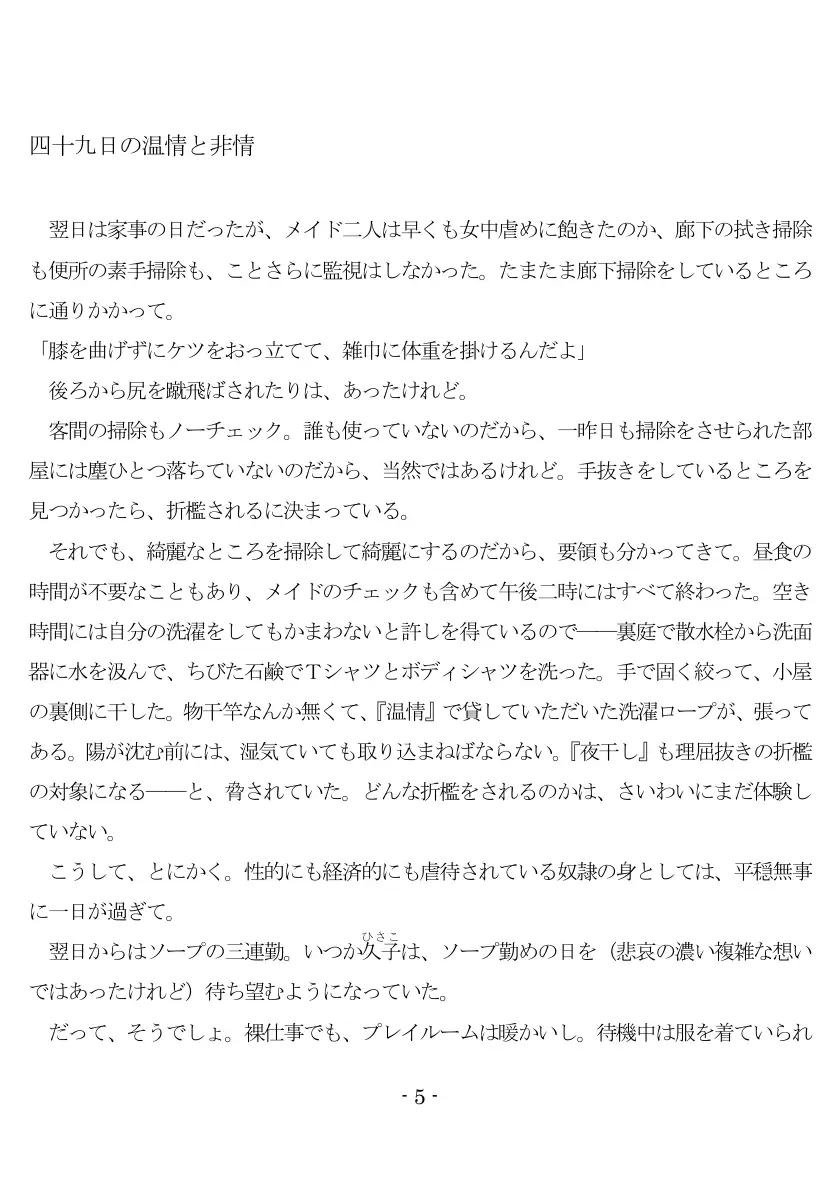 800万円のDVR:2酷虐使役編 6ページ