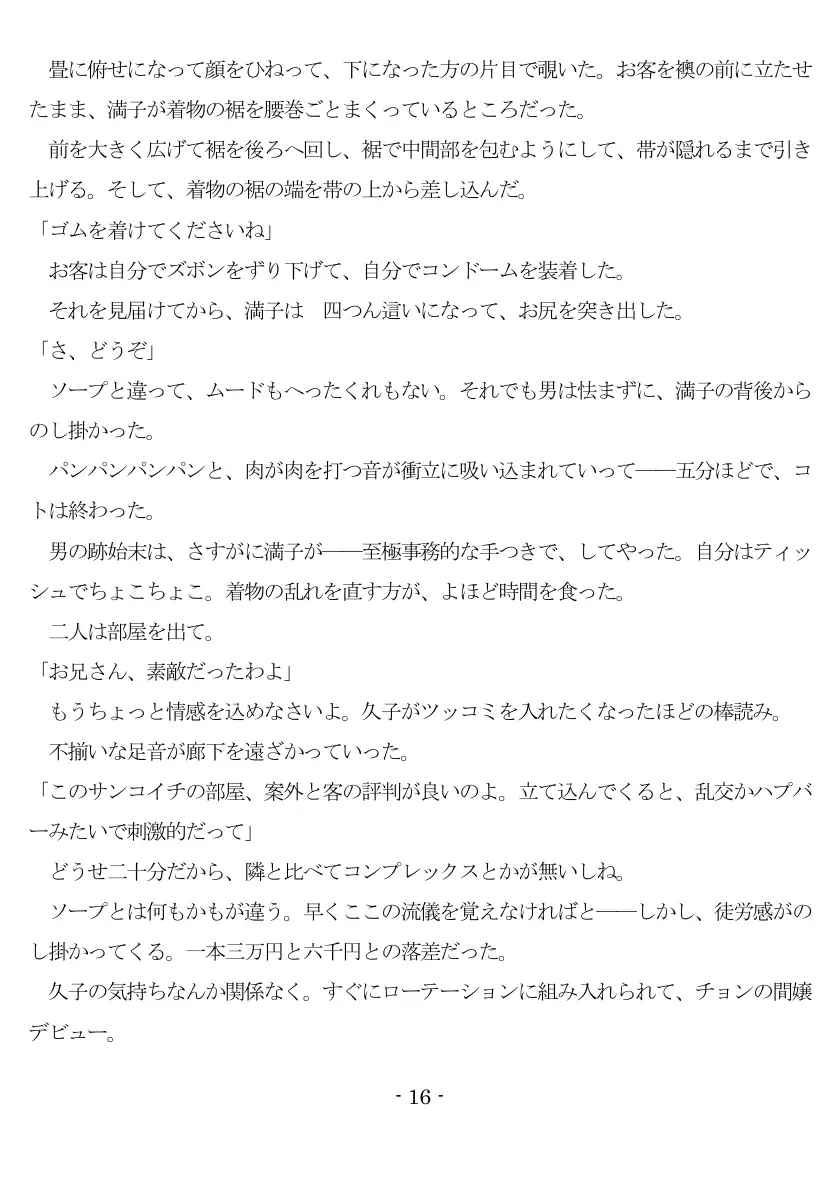 800万円のDVR:2酷虐使役編 17ページ