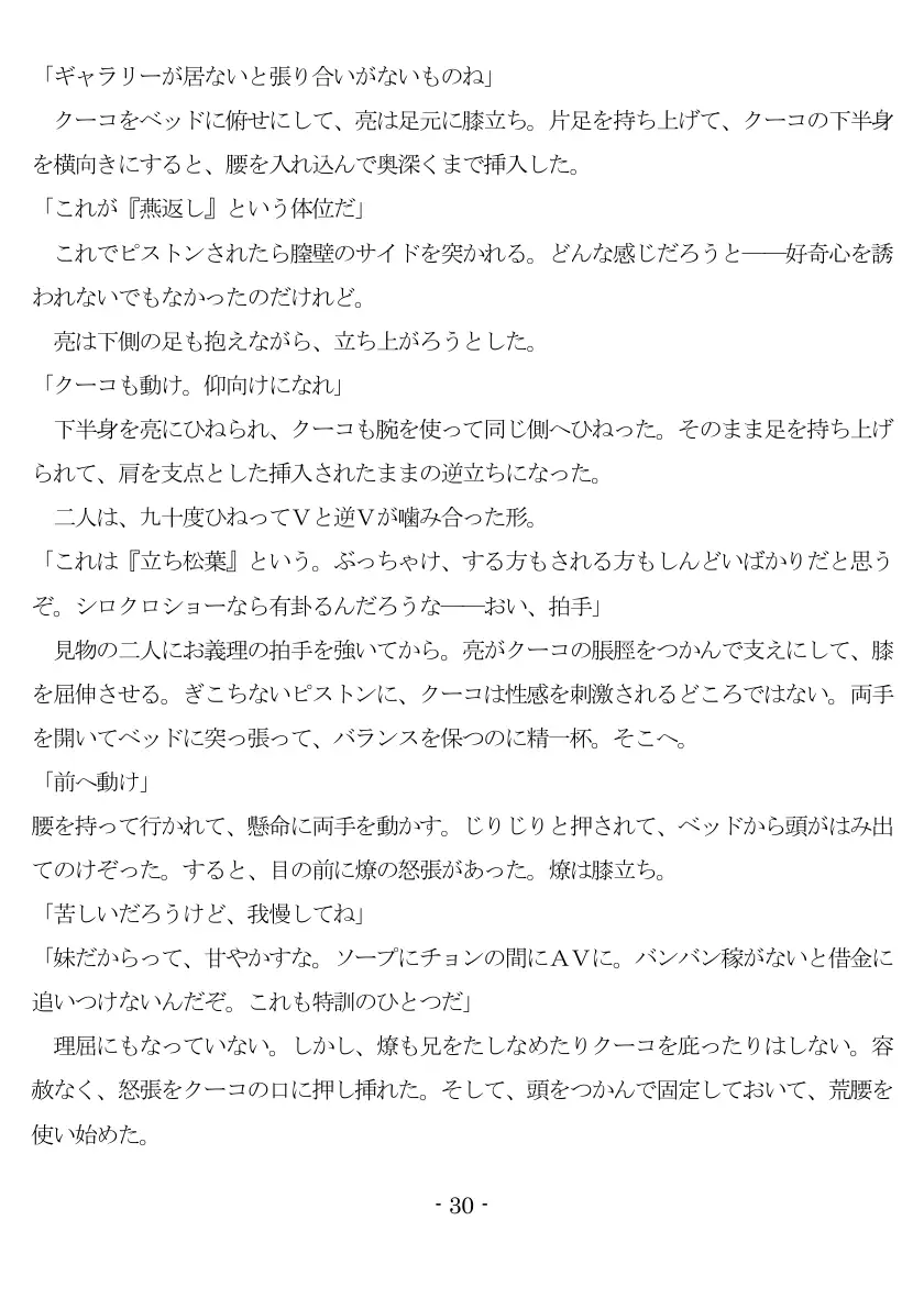 800万円のDVR:2酷虐使役編 31ページ