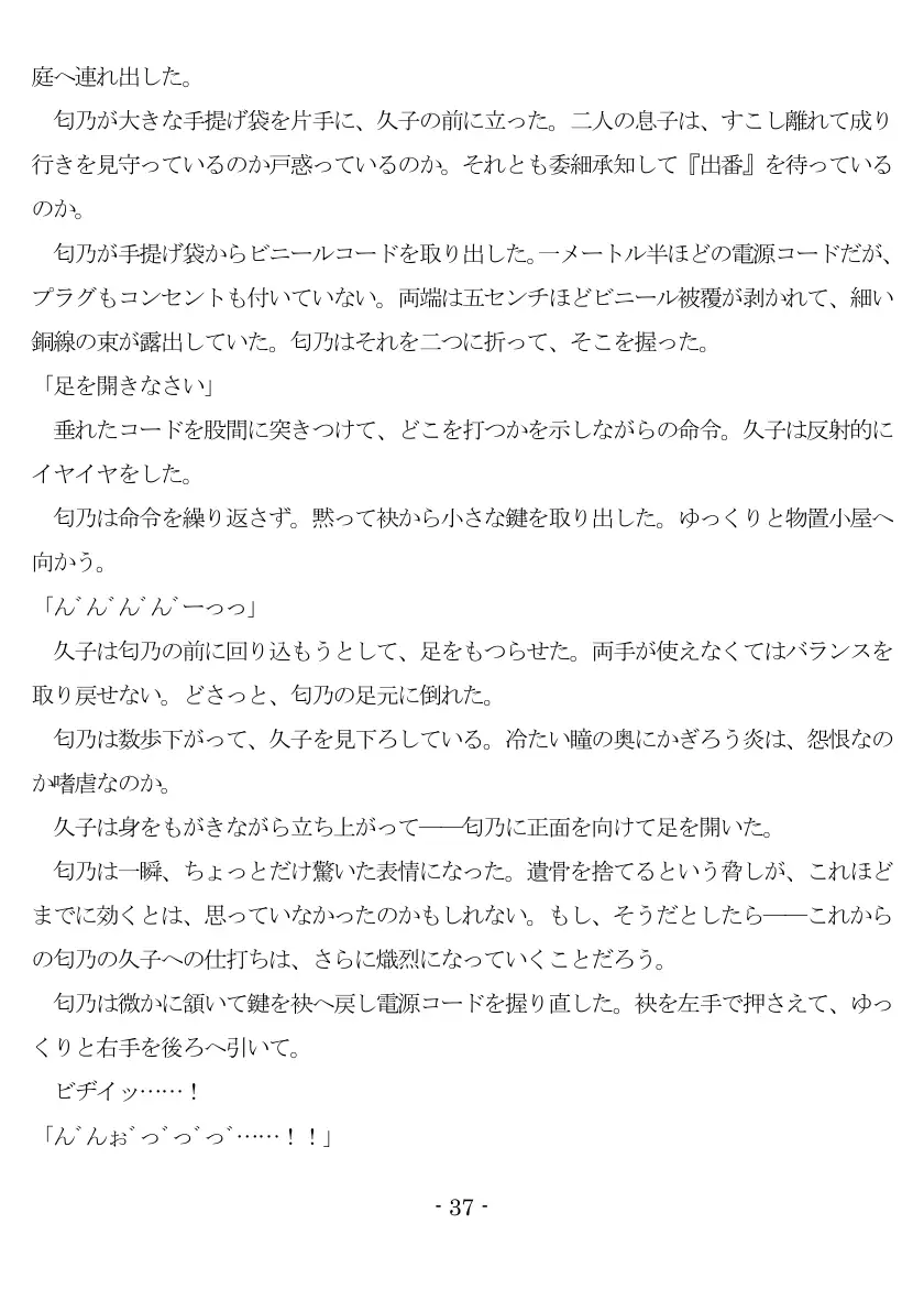 800万円のDVR:2酷虐使役編 38ページ