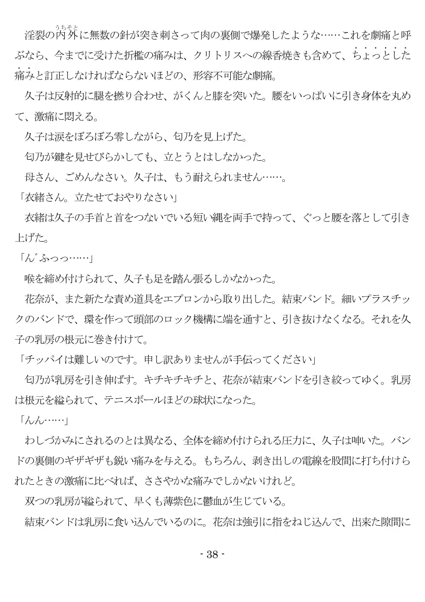 800万円のDVR:2酷虐使役編 39ページ