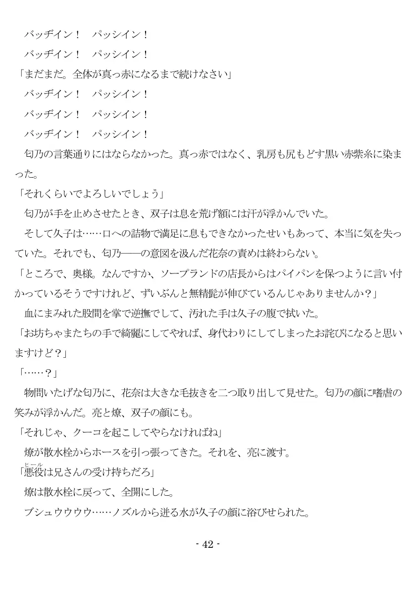800万円のDVR:2酷虐使役編 43ページ
