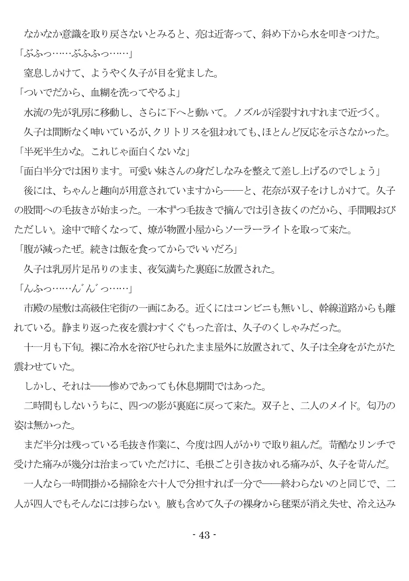 800万円のDVR:2酷虐使役編 44ページ