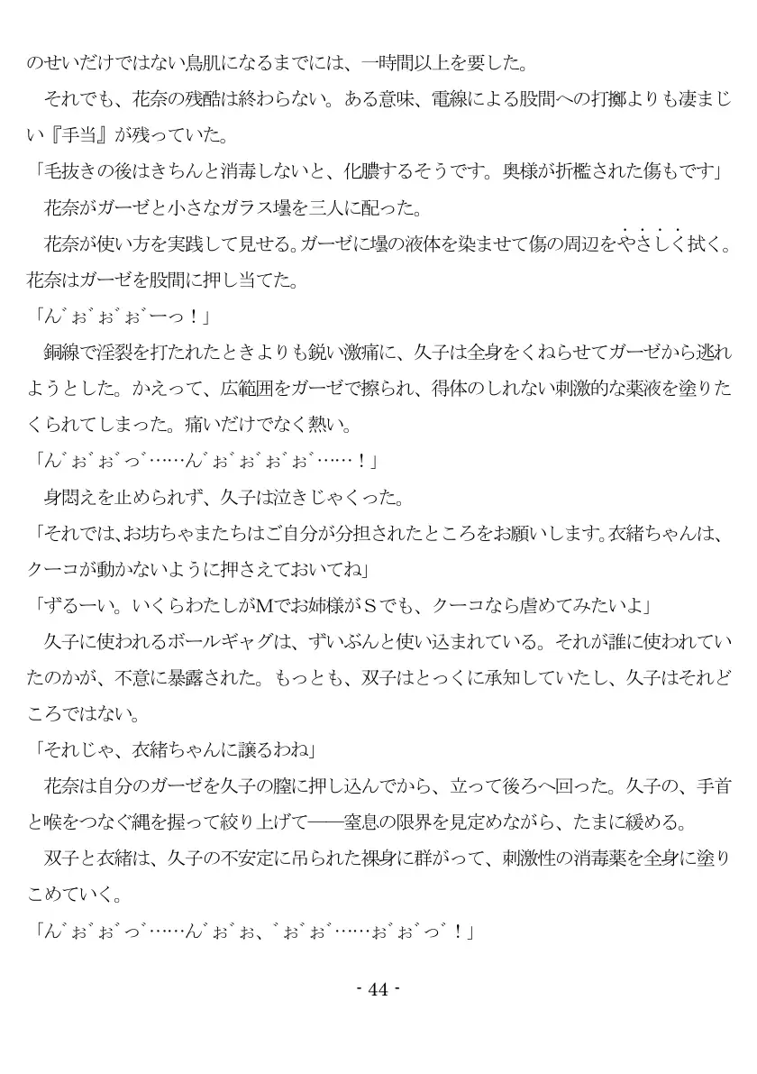 800万円のDVR:2酷虐使役編 45ページ