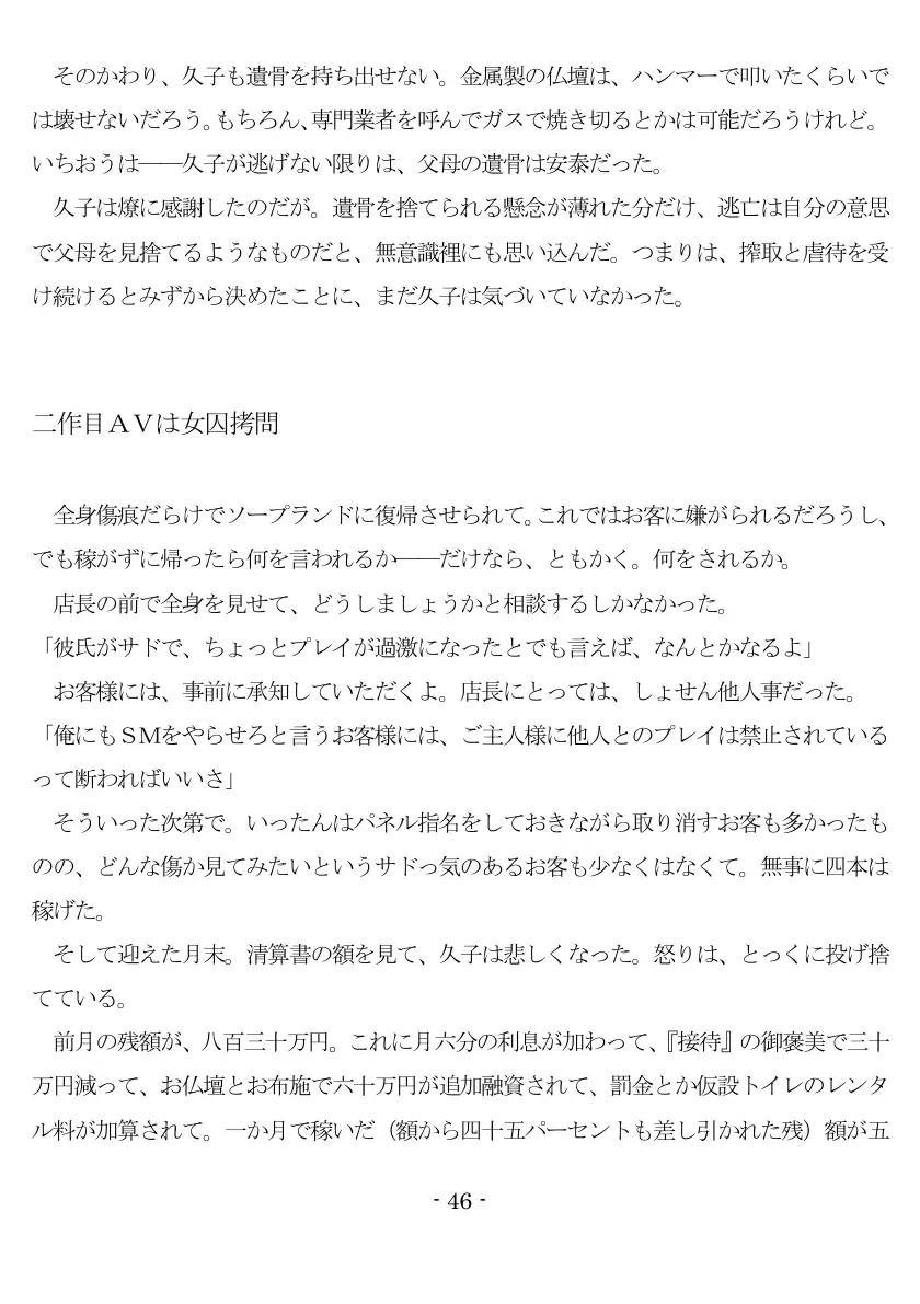 800万円のDVR:2酷虐使役編 47ページ