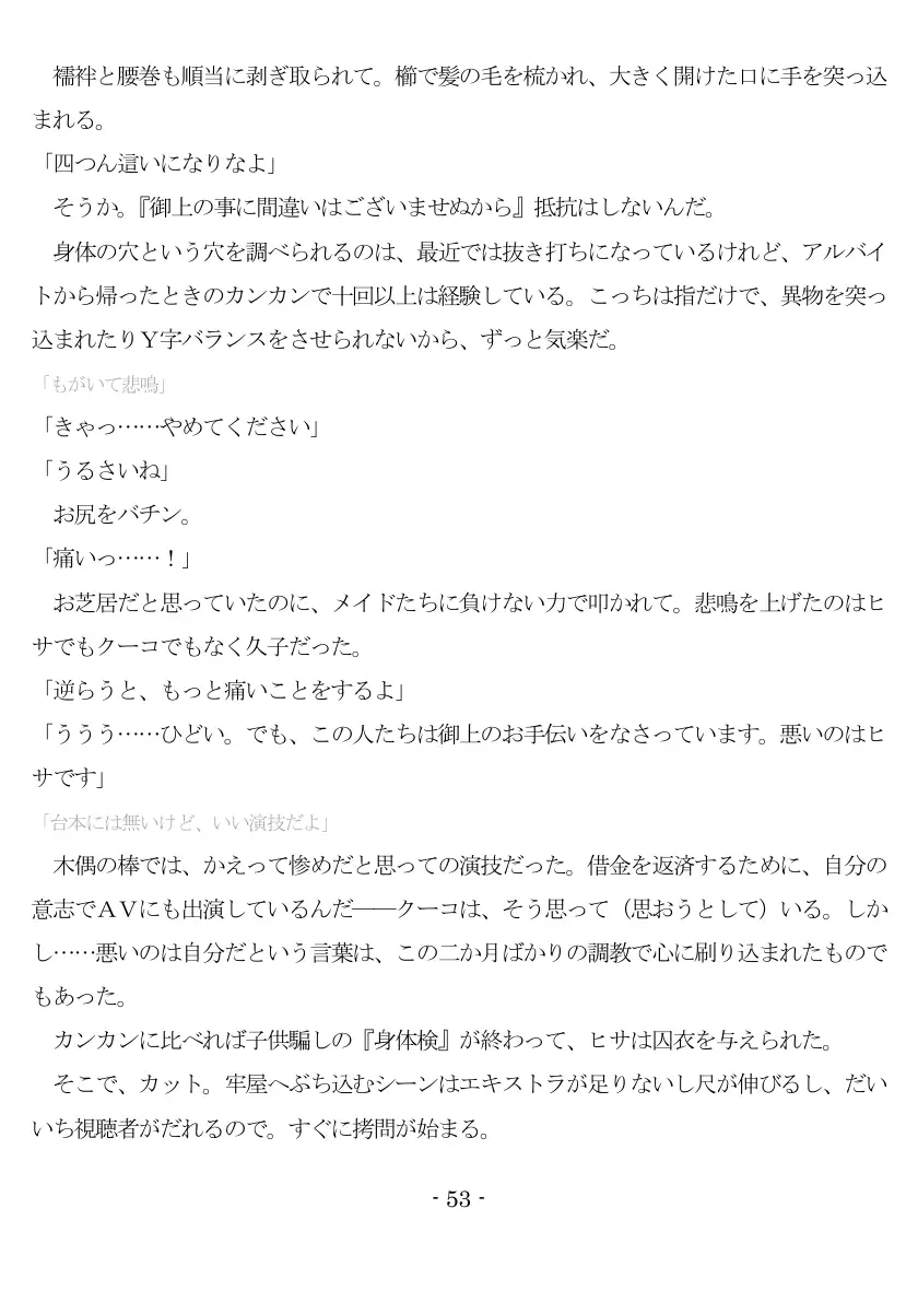 800万円のDVR:2酷虐使役編 54ページ