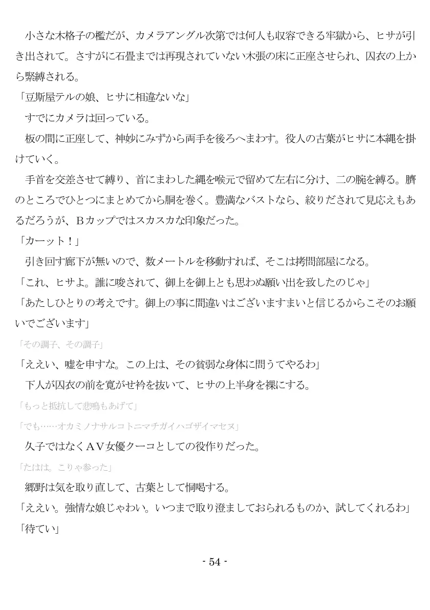 800万円のDVR:2酷虐使役編 55ページ
