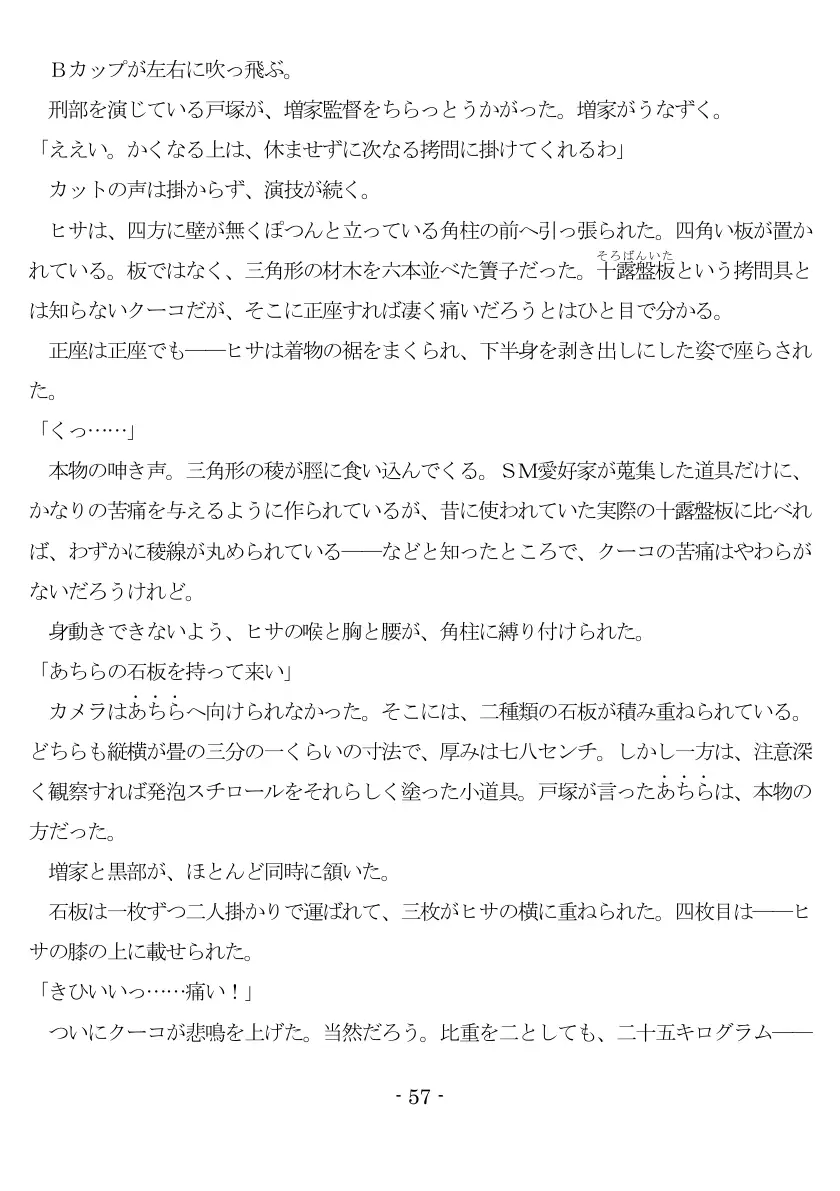 800万円のDVR:2酷虐使役編 58ページ