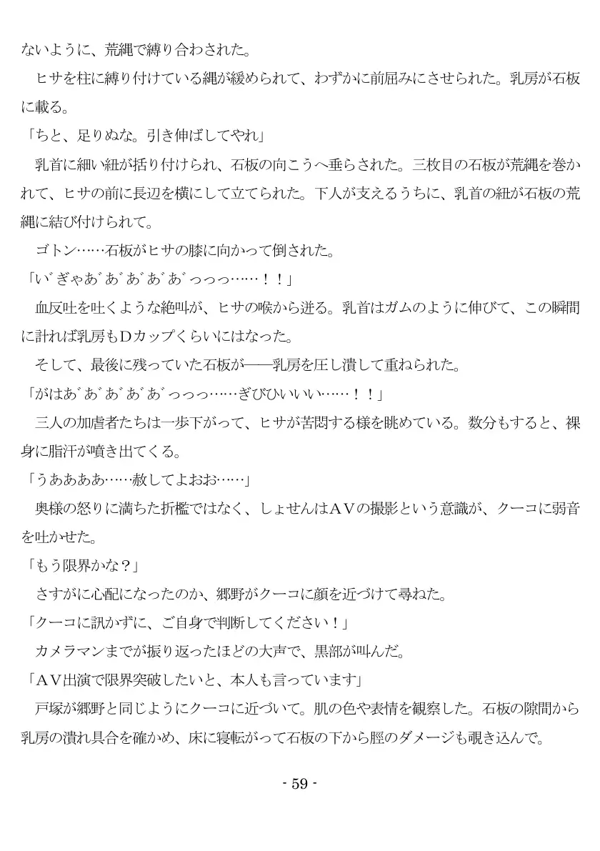 800万円のDVR:2酷虐使役編 60ページ