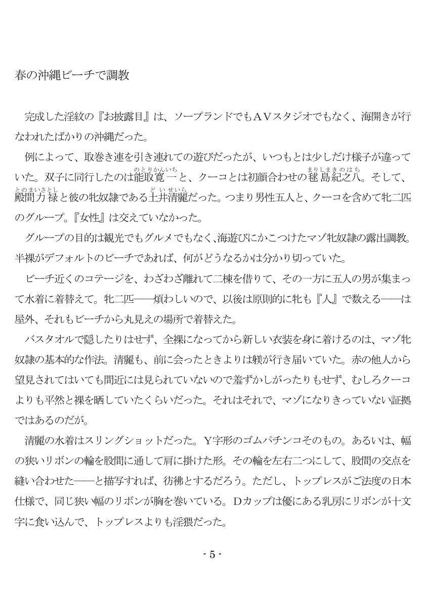 800万円のDVR:3惨虐搾取編 6ページ