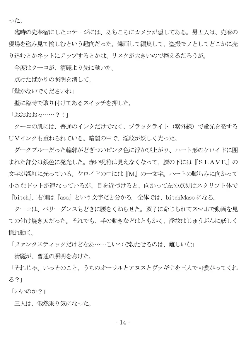 800万円のDVR:3惨虐搾取編 15ページ