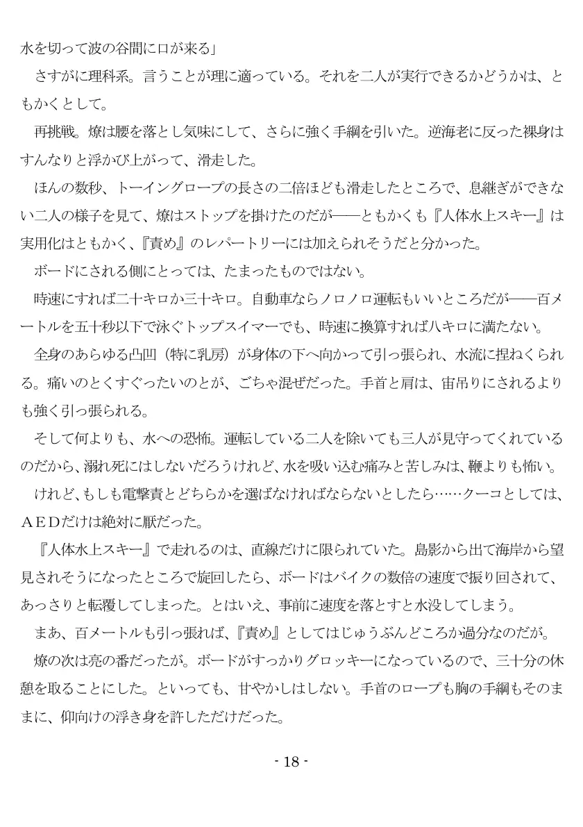 800万円のDVR:3惨虐搾取編 19ページ
