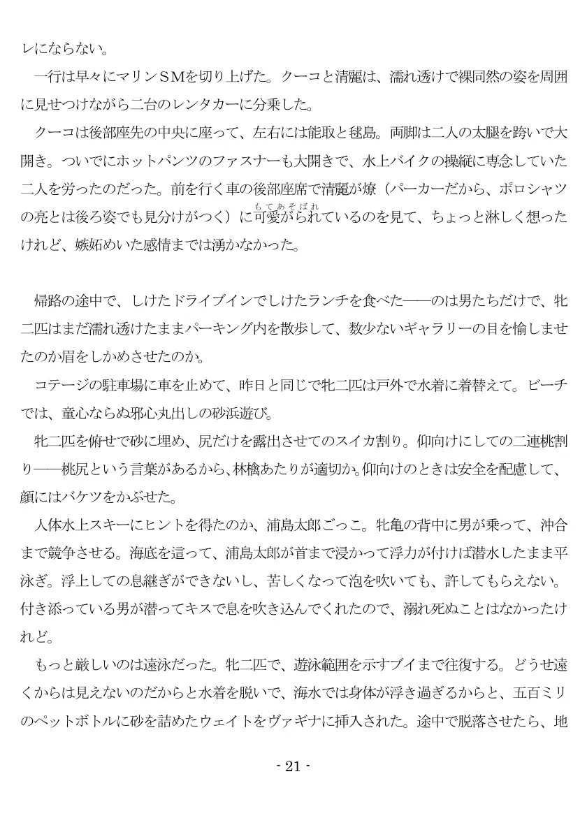 800万円のDVR:3惨虐搾取編 22ページ