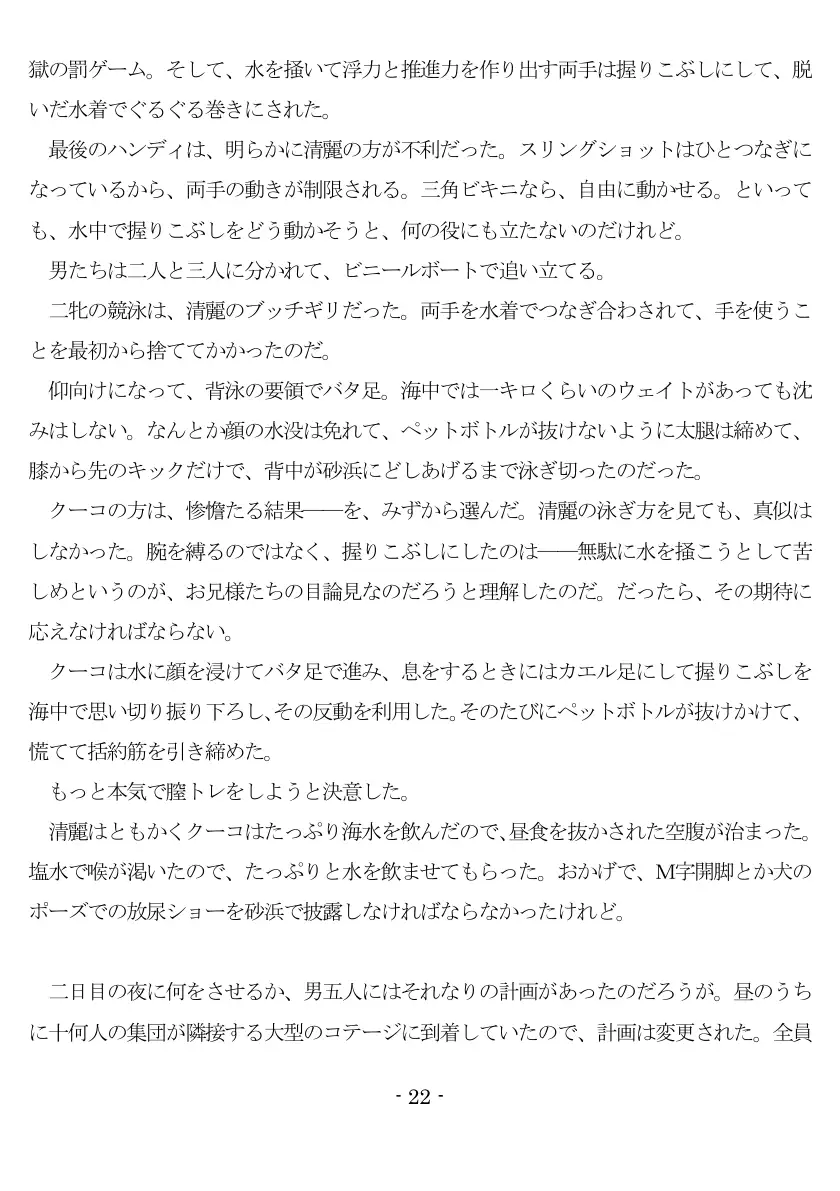 800万円のDVR:3惨虐搾取編 23ページ