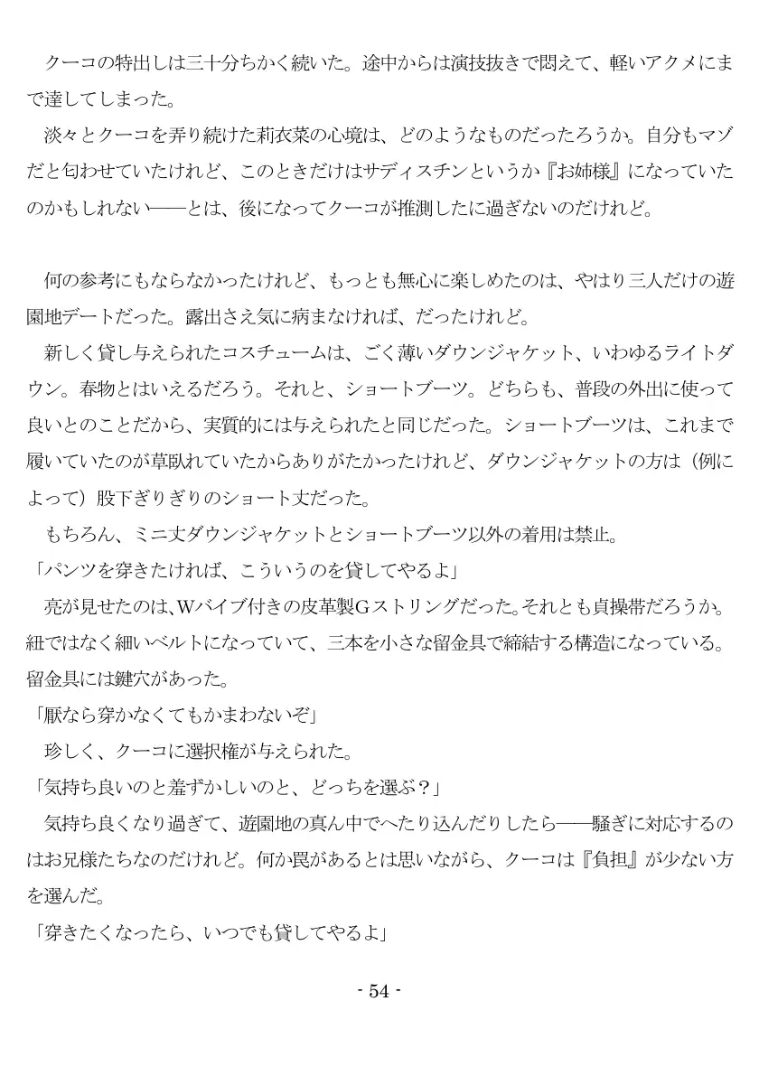 800万円のDVR:3惨虐搾取編 55ページ