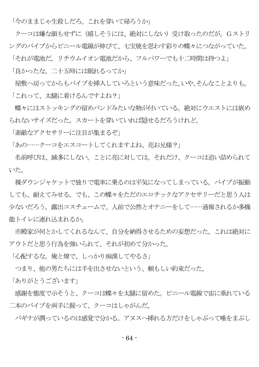 800万円のDVR:3惨虐搾取編 65ページ