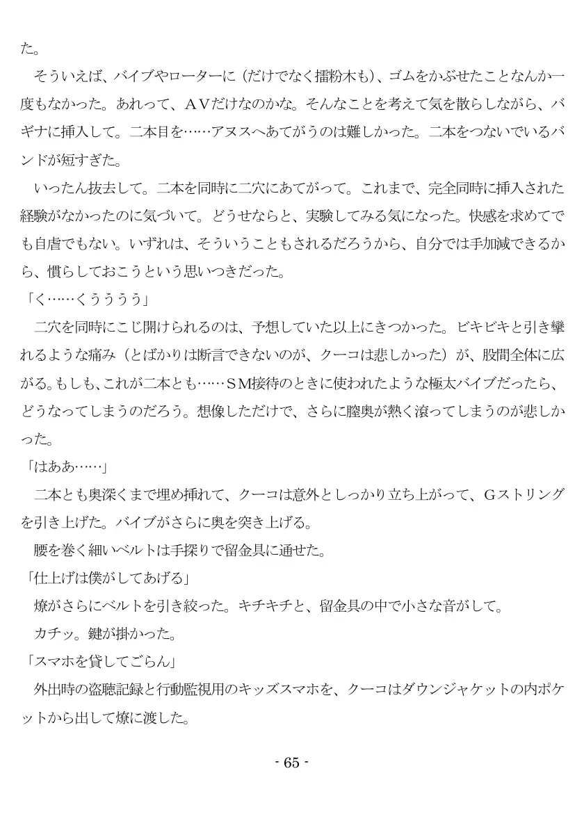 800万円のDVR:3惨虐搾取編 66ページ