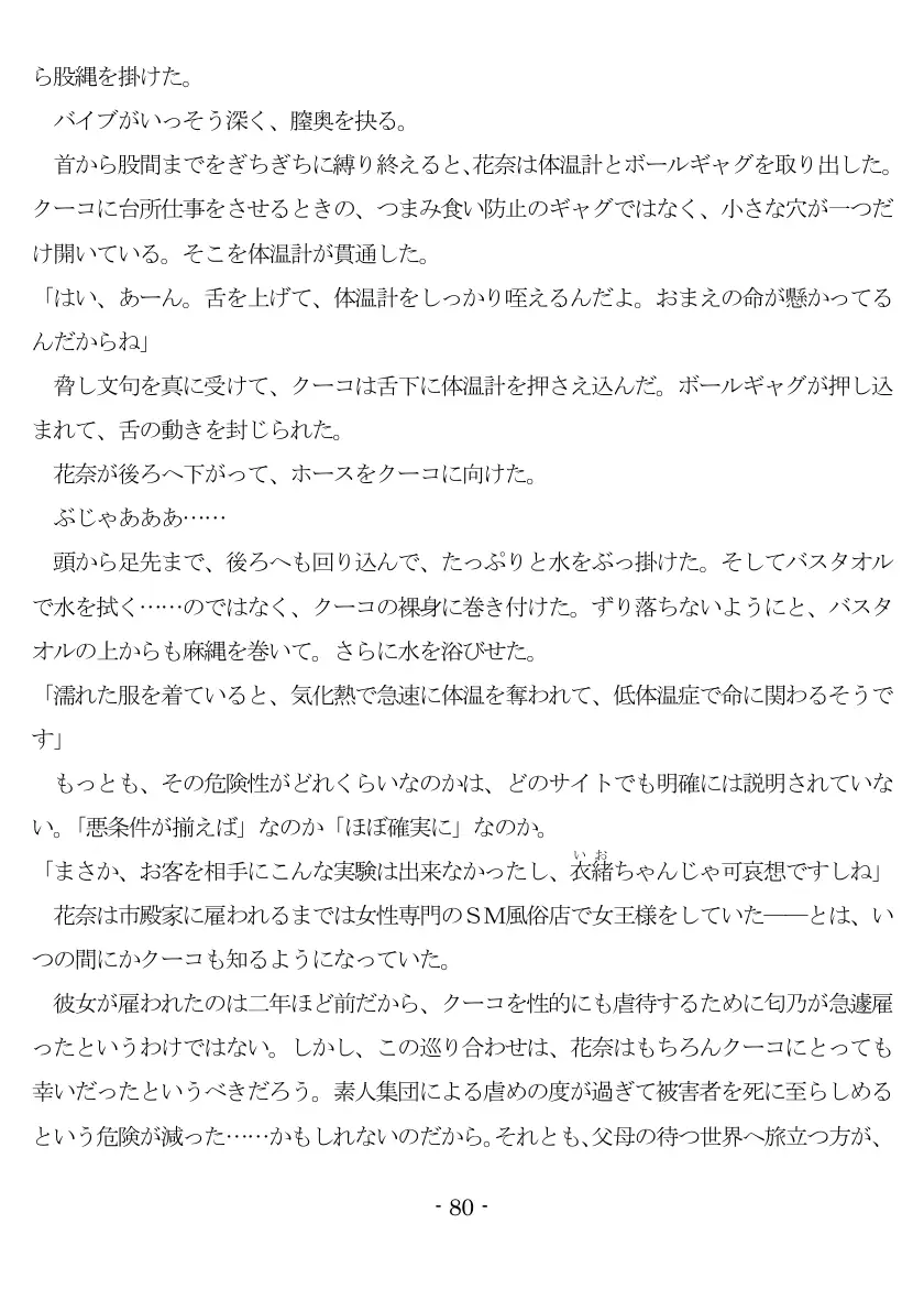 800万円のDVR:3惨虐搾取編 81ページ